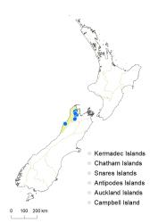 Veronica ochracea distribution map based on databased records at AK, CHR & WELT.
 Image: K.Boardman © Landcare Research 2022 CC-BY 4.0